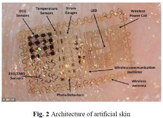 Flexible Electronic Skins